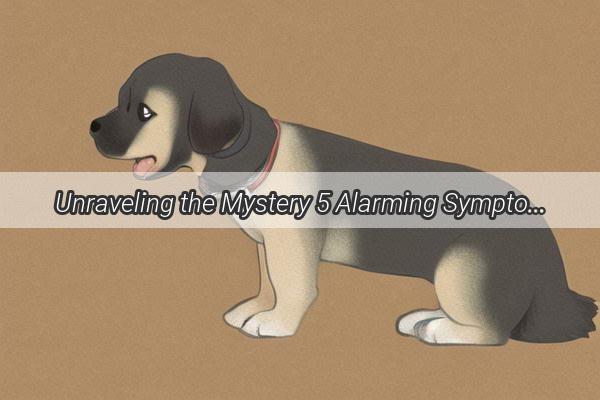 Unraveling the Mystery 5 Alarming Symptoms of a Dogs Bladder Luxation You Cant Ignore